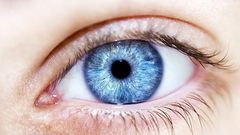 Man arrested selling human eyeball says “this business is quick money”