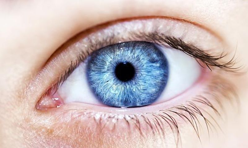 Man arrested selling human eyeball says “this business is quick money”