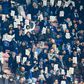 Napoli fans hold portraits of Napoli's Senegalese defender Kalidou Koulibaly who was the victim of racist abuse.
