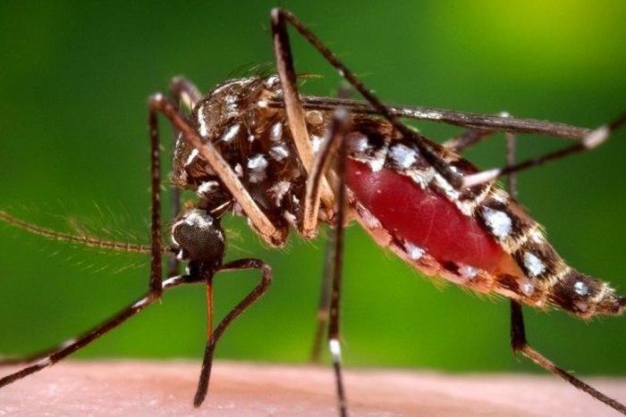 ___7064445___https:______static.pulse.com.gh___webservice___escenic___binary___7064445___2017___7___28___15___1.11171855