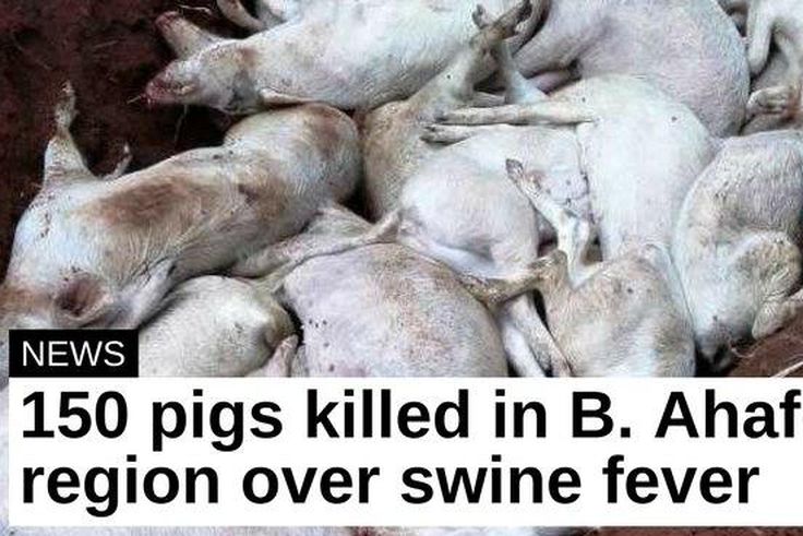 ___7090616___https:______static.pulse.com.gh___webservice___escenic___binary___7090616___2017___8___3___15___unnamed_2