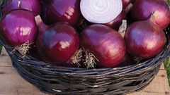 Onions