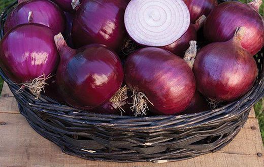Onions