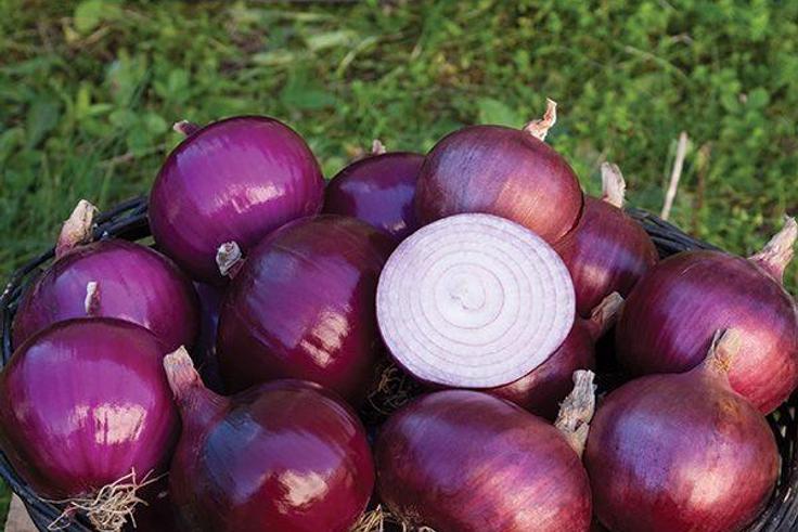 Onions