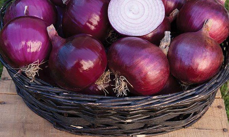 Onions