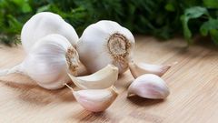 Garlics