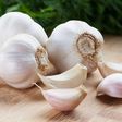 Health benefits of garlic