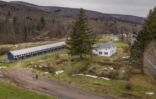 Forget the Suburbs, It's Country or Bust