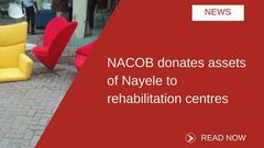 ___6875962___https:______static.pulse.com.gh___webservice___escenic___binary___6875962___2017___6___21___16___nayele