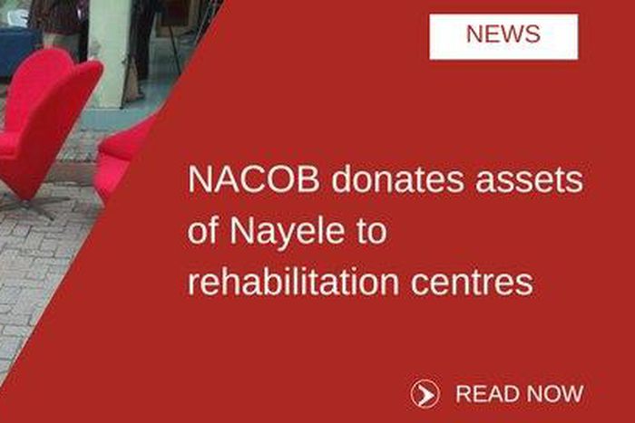 ___6875962___https:______static.pulse.com.gh___webservice___escenic___binary___6875962___2017___6___21___16___nayele