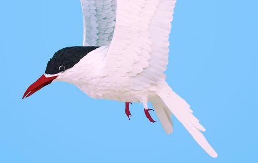 ___7110389___https:______static.pulse.com.gh___webservice___escenic___binary___7110389___2017___8___7___18___Bird+art