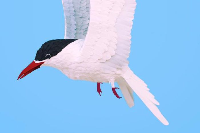 ___7110389___https:______static.pulse.com.gh___webservice___escenic___binary___7110389___2017___8___7___18___Bird+art