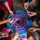 Saffron farmers in southern Morocco are proud of the coveted spice they produce
