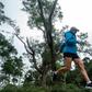 Mina Guli's world tour of marathons began in New York on November 4 and has so far taken in France, the Vatican, India and Hong Kong