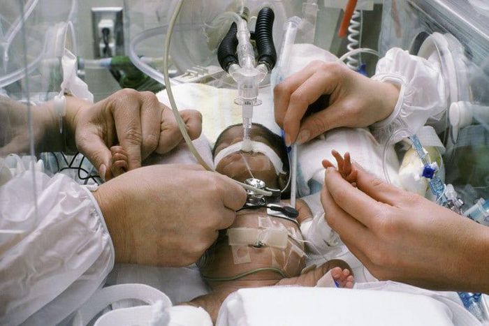 ___7163587___https:______static.pulse.com.gh___webservice___escenic___binary___7163587___2017___8___17___18___file6wabbbrrzg9v87p4i33