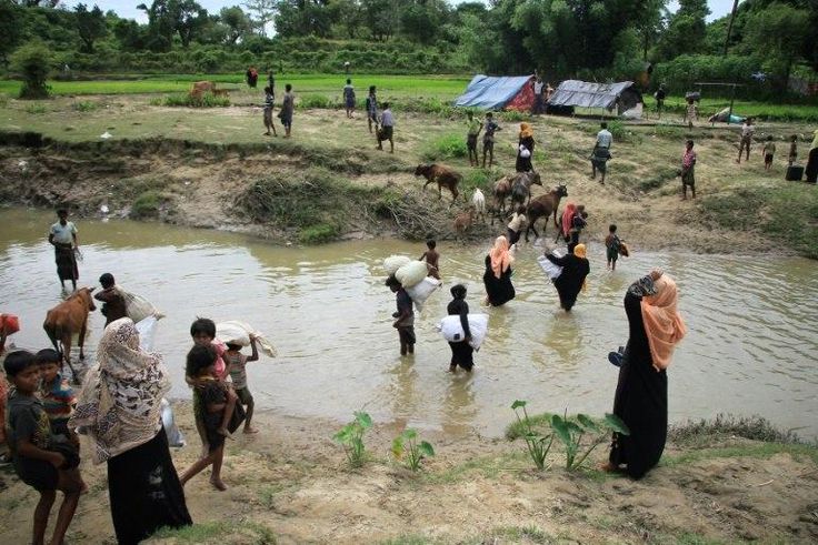Rohingya refugees head back to Myanmar as Bangladeshi border guards drive them away from Bangladeshi territory