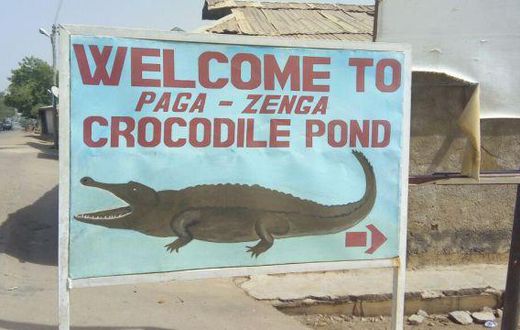 Paga crocodile pond