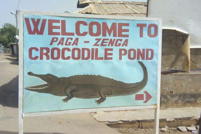 Paga crocodile pond