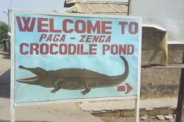 Paga crocodile pond