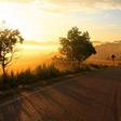 Rural areas at high risk for certain cancers