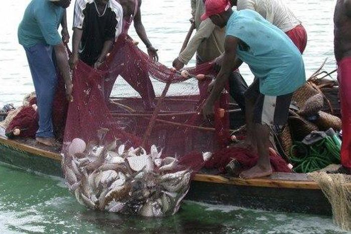 ___6939590___https:______static.pulse.com.gh___webservice___escenic___binary___6939590___2017___7___4___10___coastal-east-africa-threats-07302012HI_114886-620x330