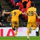 Wolves celebrate Raul Jimenez's goal against Tottenham at Wembley