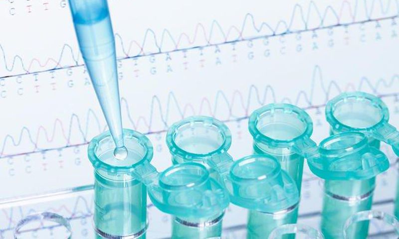 ___7061574___https:______static.pulse.com.gh___webservice___escenic___binary___7061574___2017___7___28___1___can-dna-testing-help-you-lose-weight-main