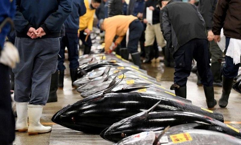 A delay in relocating the famed Tsukiji market, ordered by Tokyo governor Yuriko Koike over concerns about toxic pollution at the new site, threatens the timely construction of a key road needed for the 2020 Olympics