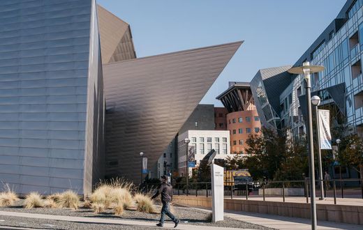 Man Smashes Rare Mayan and Chinese Works at Denver Art Museum, Police Say