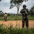In the past month, 48 deaths in Beni have been attributed to the ADF, including seven UN peacekeepers