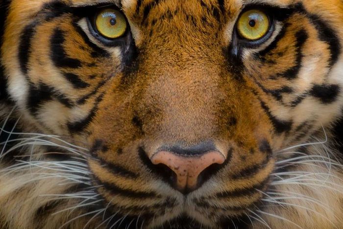 ___7198286___https:______static.pulse.com.gh___webservice___escenic___binary___7198286___2017___8___24___14___file6wdt3rbgg6fmep42eol