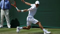 Ninth-ranked Kei Nishikori was the 2014 US Open runner-up, becoming the first Asian man in a Grand Slam final, and reached the semi-finals last year at Flushing Meadows