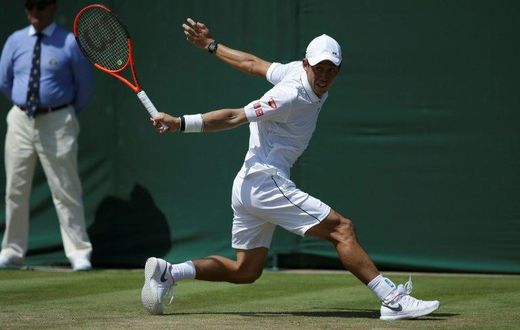 Ninth-ranked Kei Nishikori was the 2014 US Open runner-up, becoming the first Asian man in a Grand Slam final, and reached the semi-finals last year at Flushing Meadows