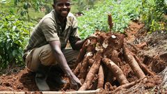 ___9172874___2018___12___6___10___Farmer