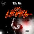 Shatta Wale - My Level