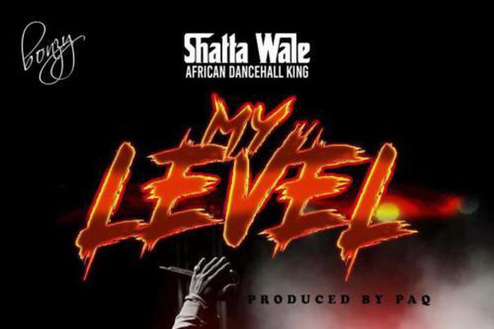 Shatta Wale - My Level