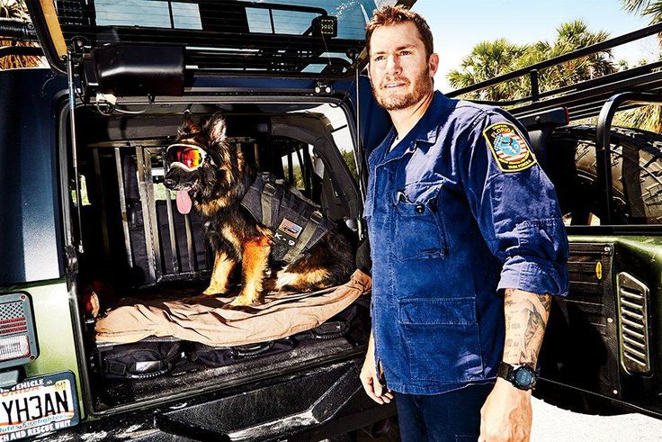 ___6943244___https:______static.pulse.com.gh___webservice___escenic___binary___6943244___2017___7___4___22___ultimate-mens-health-dog-winner-1