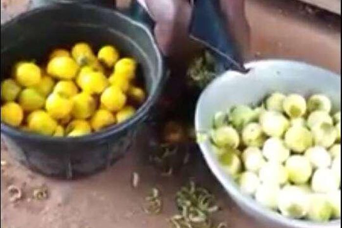 ___6838570___https:______static.pulse.com.gh___webservice___escenic___binary___6838570___2017___6___14___19___abc222d2-12fa-4b11-a6d6-53cc2a8ac518