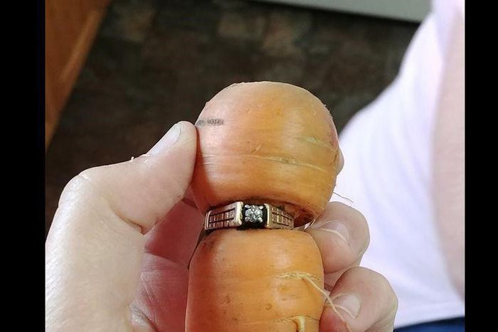 ___7169707___https:______static.pulse.com.gh___webservice___escenic___binary___7169707___2017___8___18___18___file6wat7gs0iww4dwnn1u2