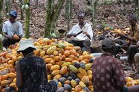 Farmers' Day declared holiday