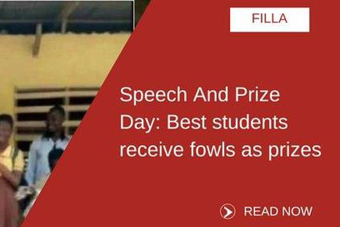 ___6899663___https:______static.pulse.com.gh___webservice___escenic___binary___6899663___2017___6___26___13___FOWLS