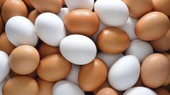 ___6906085___https:______static.pulse.com.gh___webservice___escenic___binary___6906085___2017___6___27___15___EGGS-800x520