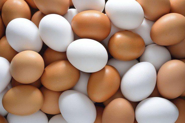 ___6906085___https:______static.pulse.com.gh___webservice___escenic___binary___6906085___2017___6___27___15___EGGS-800x520