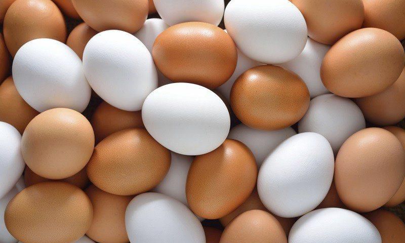 ___6906085___https:______static.pulse.com.gh___webservice___escenic___binary___6906085___2017___6___27___15___EGGS-800x520