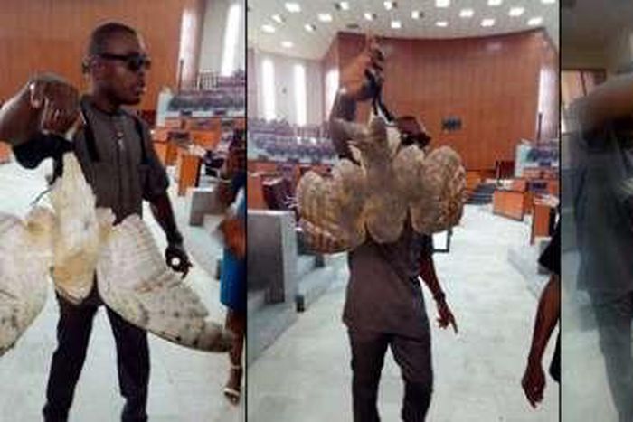 ___9156981___2018___12___1___13___8232298-fbimg1543484026168-jpeg2987d75ed2157e70293eb4e2f366d736-tile