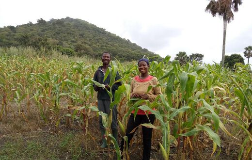 Gabriel Badasu and his daughter Joana Badasu work on a five acre farm near Ho