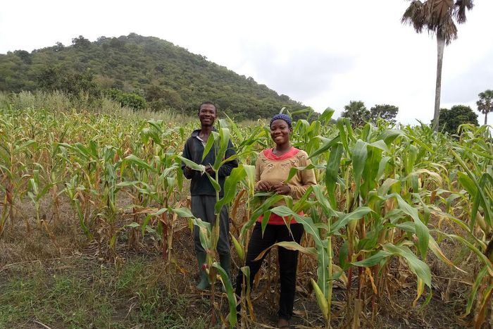 Gabriel Badasu and his daughter Joana Badasu work on a five acre farm near Ho