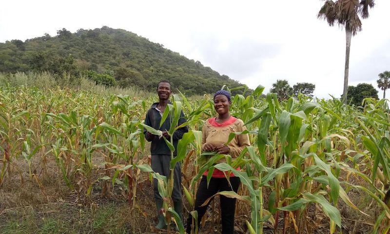 Gabriel Badasu and his daughter Joana Badasu work on a five acre farm near Ho