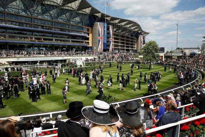 The five-day Royal Ascot meeting is one of the highlights of the horse racing calendar