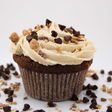 Mocha cupcakes